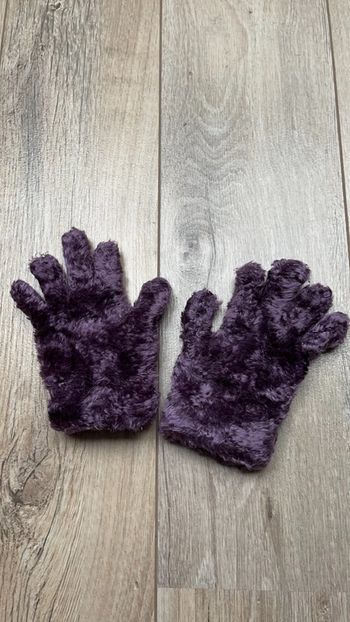 Paire de gants 3-4 ans Lisa Rose