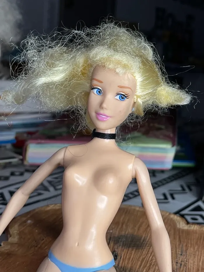Barbie cendrillon - photo numéro 3