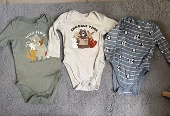 3 bodys 