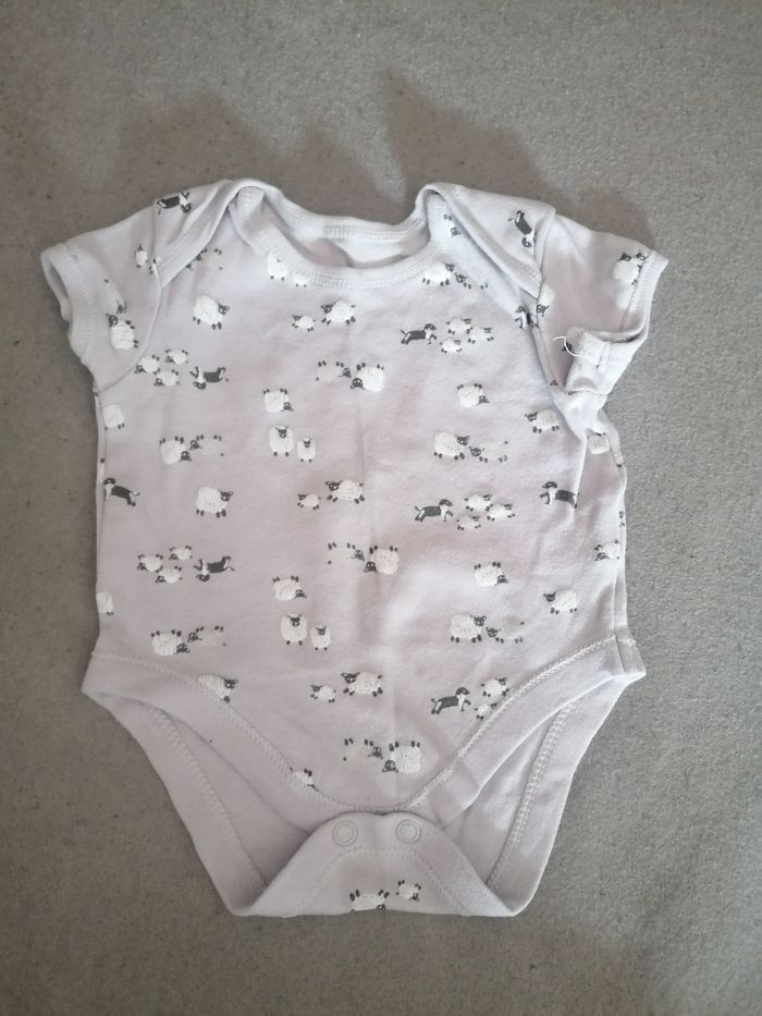 Lot de bodies manches courtes taille 0 à 3 mois - photo numéro 4