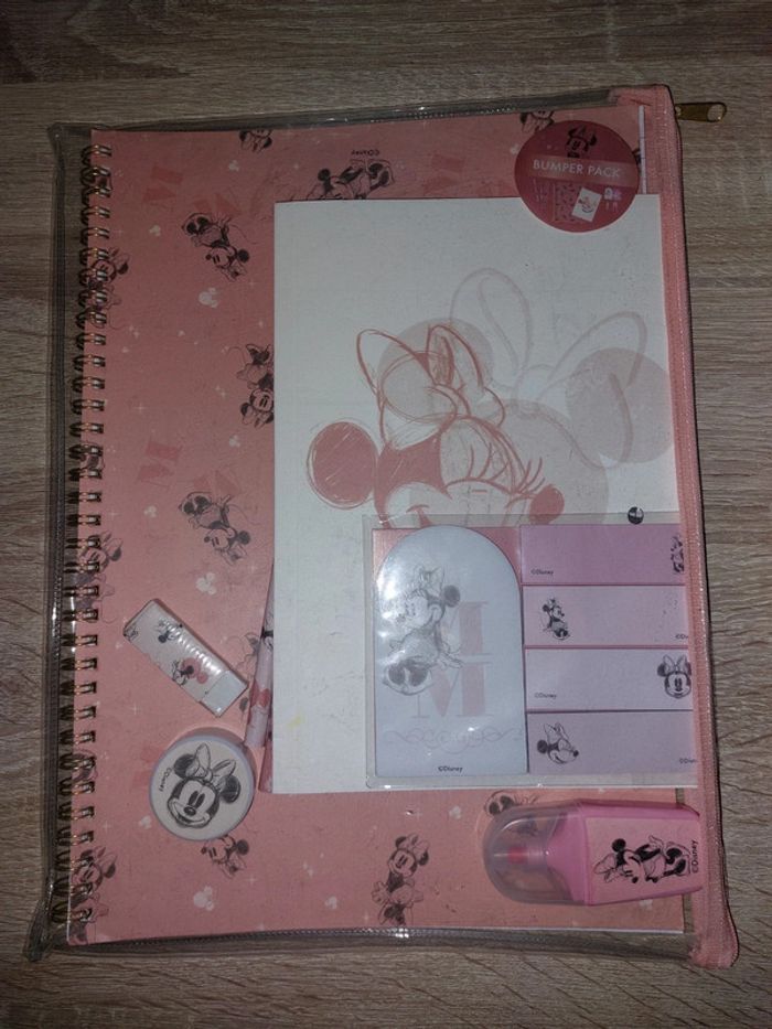 Pochette avec carnet et bic mickey