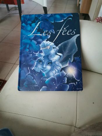 Livre les fées plein d histoires