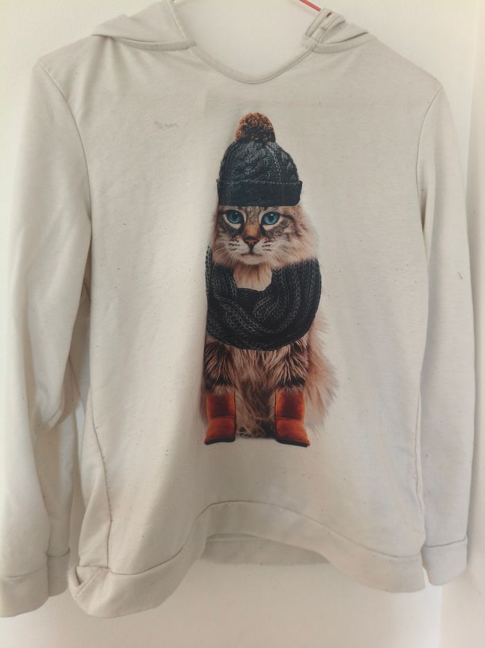 Pull a capuche - photo numéro 1