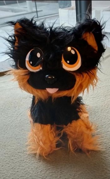 Peluche chien 