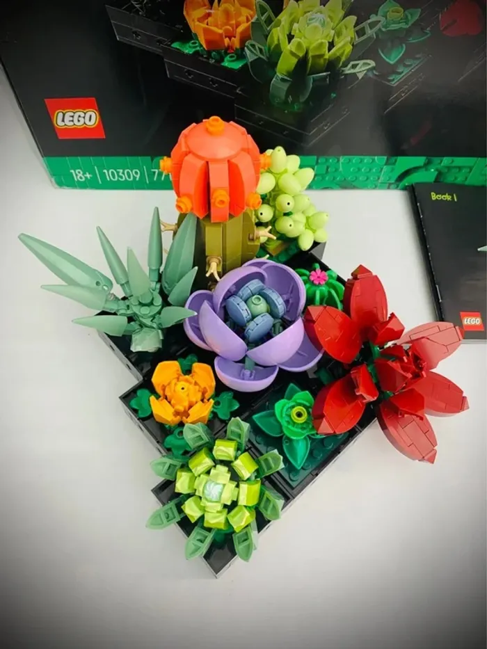 LEGO Icons 10309 - Les Succulents - Complet avec Boîte - photo numéro 10