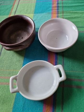 3 mini plats