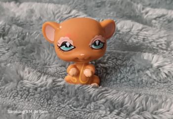Petshop souris 462