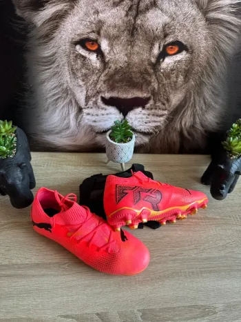 Chaussures de foot puma