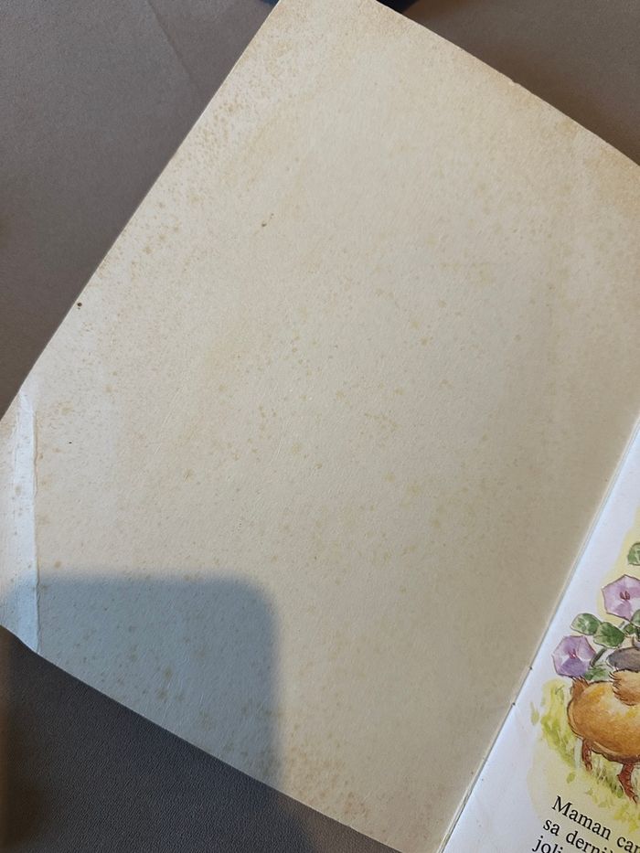 Le vilain petit canard - photo numéro 4