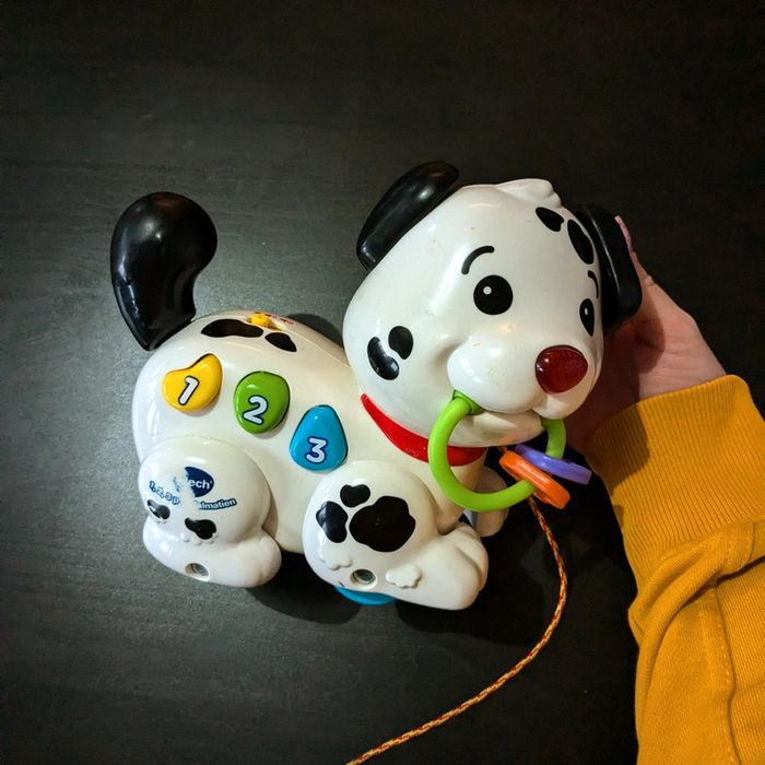 Chien V-Tech