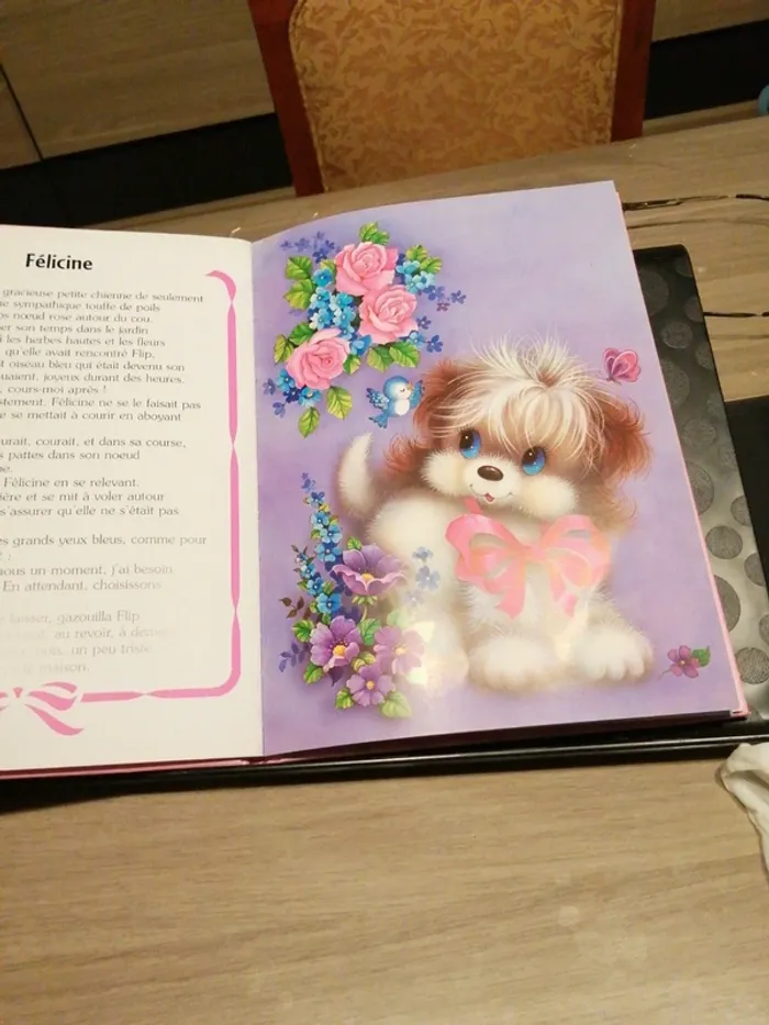 Livre - photo numéro 3