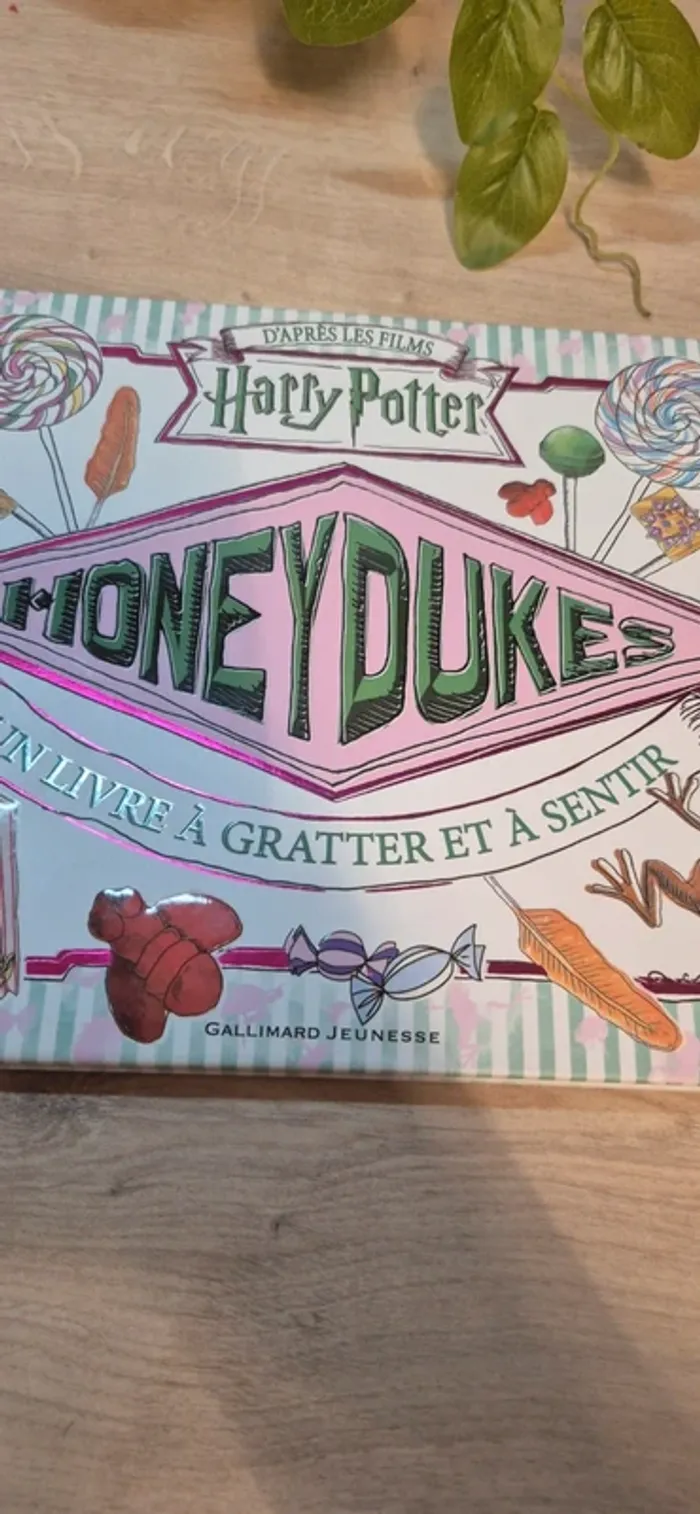 Livre harry potter honeydukes - photo numéro 2