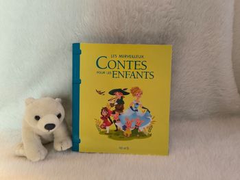 Livre les merveilleux contes pour les enfants