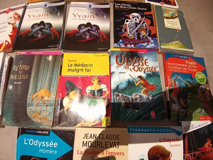 divers livres collège - photo numéro 3