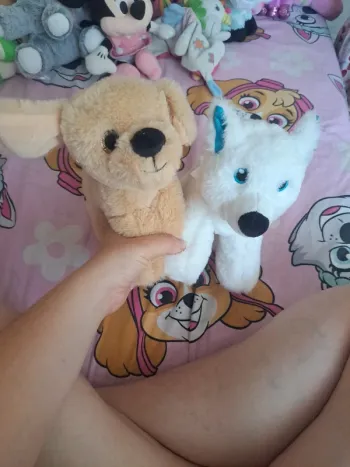 Lot peluche chien et loup