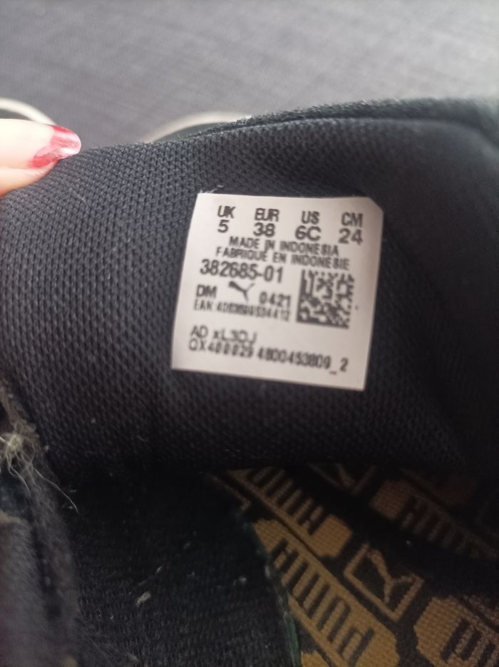 Puma - photo numéro 6