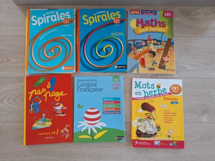 Lot de manuels ce1