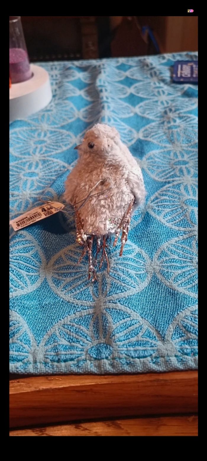 Oiseau de noël - photo numéro 2