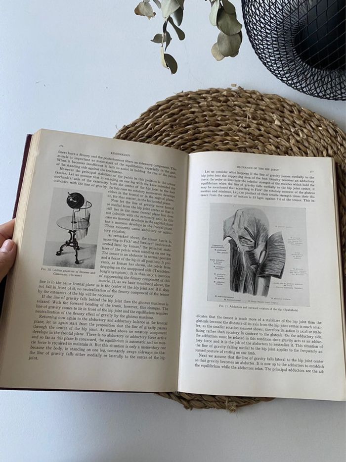 Livre kinesiology of the human body - photo numéro 5