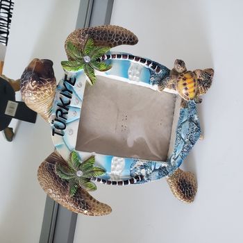 Cadre photo Tortue