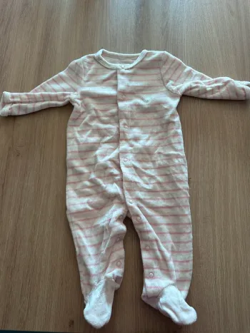 Pyjama rose