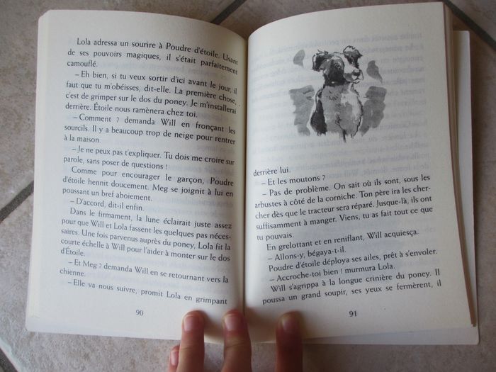 Roman enfant Mon Poney Magique – Tome 4 Perdus dans la tempête - photo numéro 3