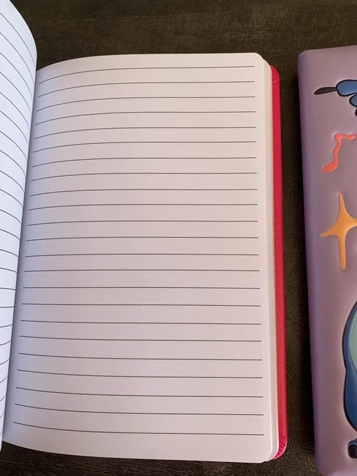 Carnet Disney - photo numéro 2