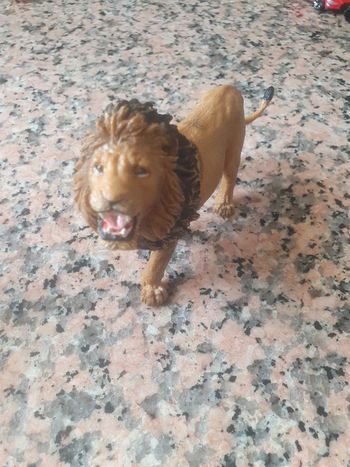 Figurine lion rugissant