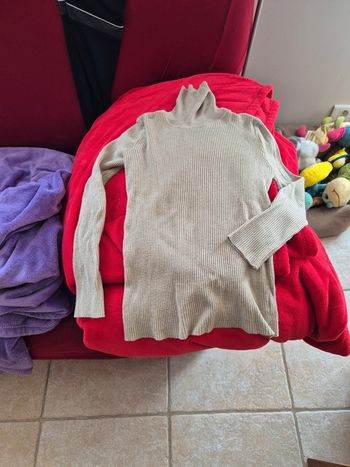 Pull col roule