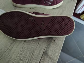 Basket Lacoste