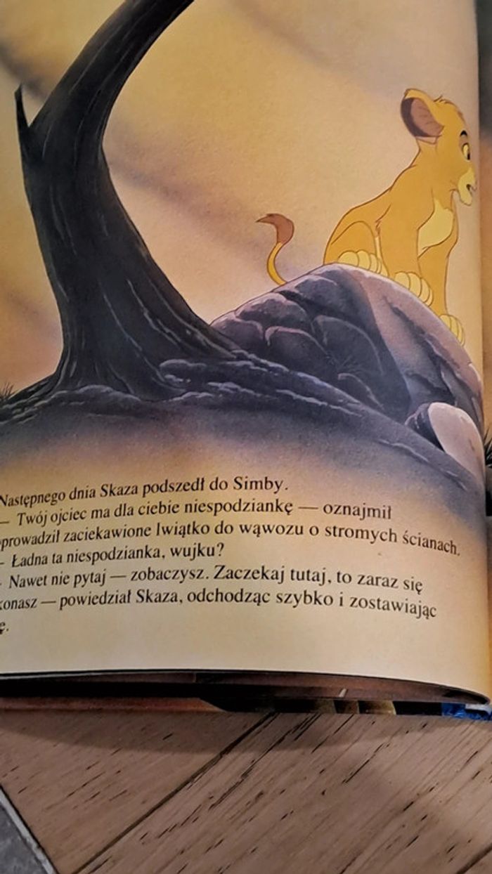 Livre enfants en polonais - photo numéro 2