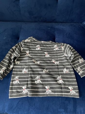Pull 101 dalmatiens