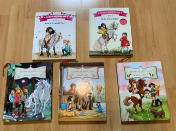 Lot livres poneys