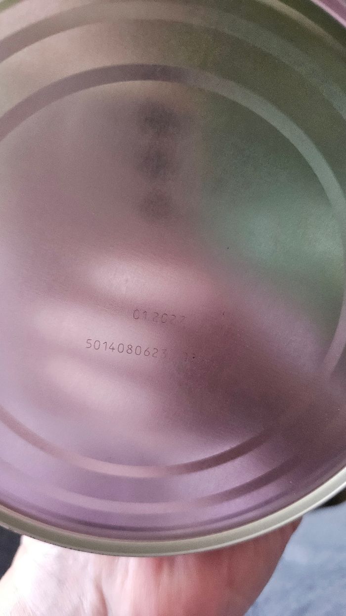 Guigozgest 1 - photo numéro 2