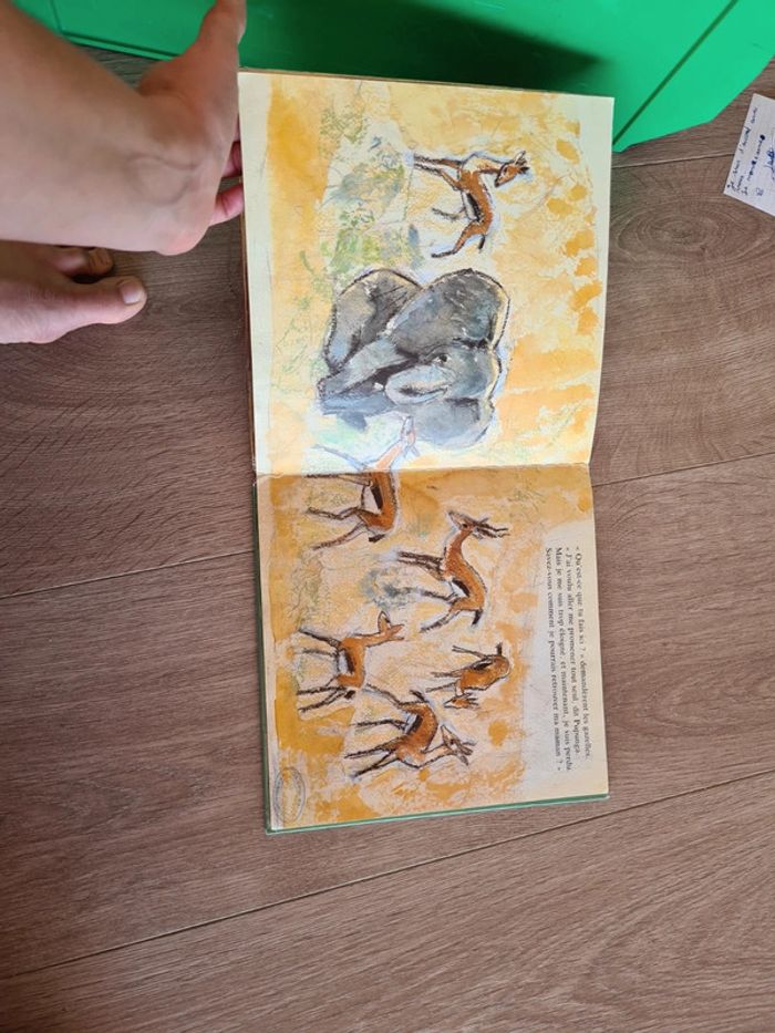 Livre l'aventure de pupunga - photo numéro 2