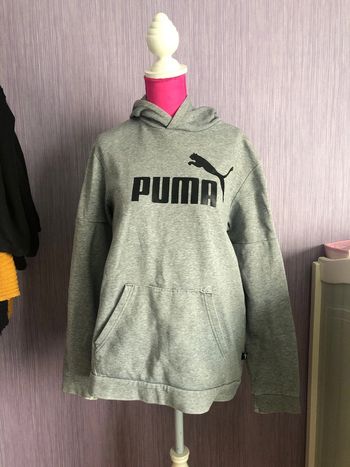 Pull puma