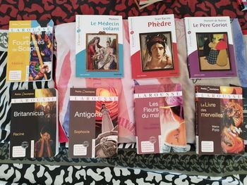 Livres de poche collège ou lycée au choix