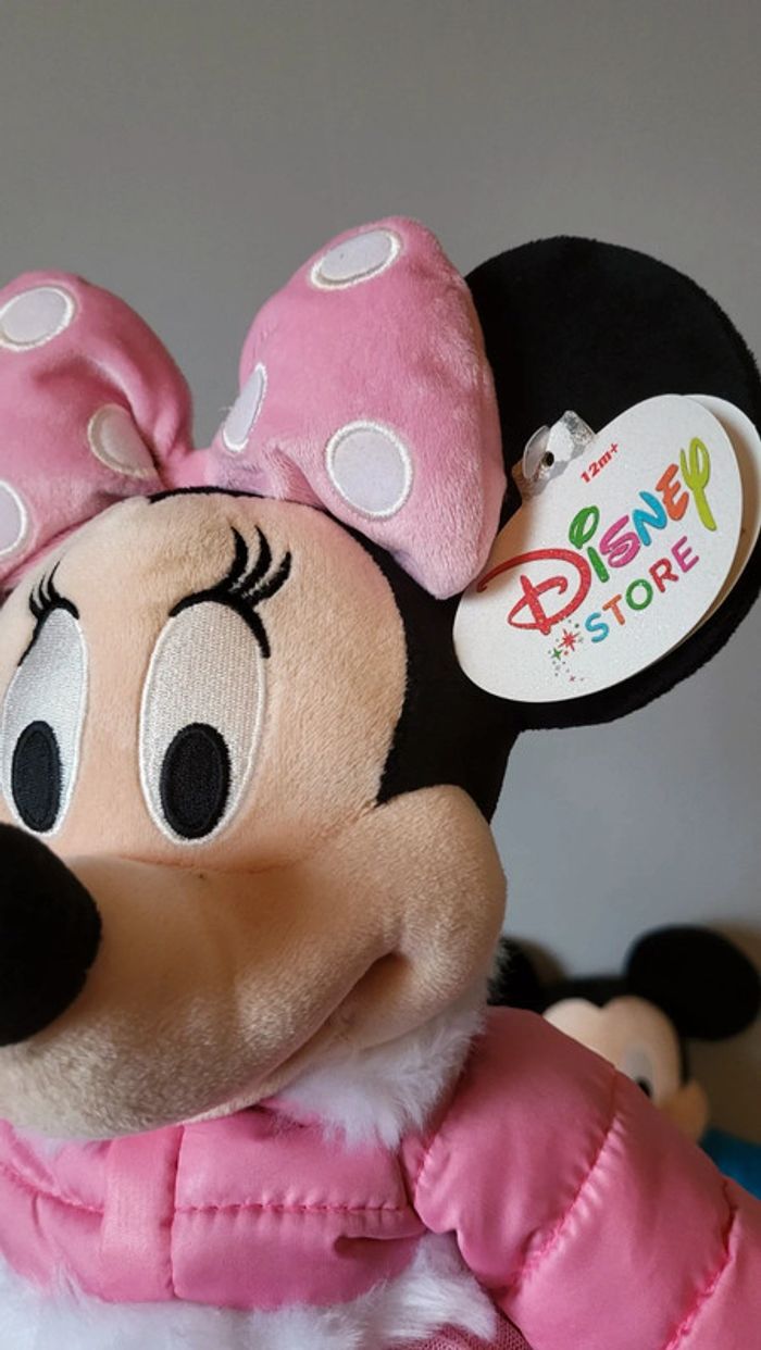 Mickey et Minnie 2011 - photo numéro 3