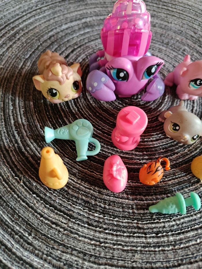 Pet shop - photo numéro 3