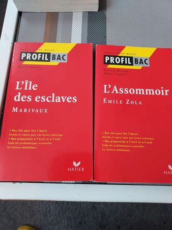 Lot de 2 livre de poche