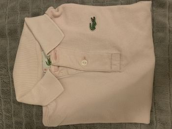 Polo Lacoste 🐊