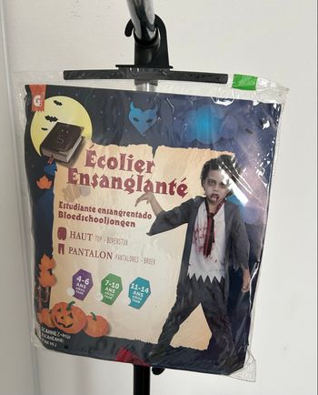 Costume déguisement