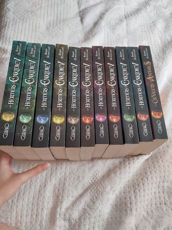 Romans Les Héritiers d'Enkidiev tomes 1 à 6 + 8 à 10 + 12 + Les Chevaliers d'Antarès 1 Anne Robillard