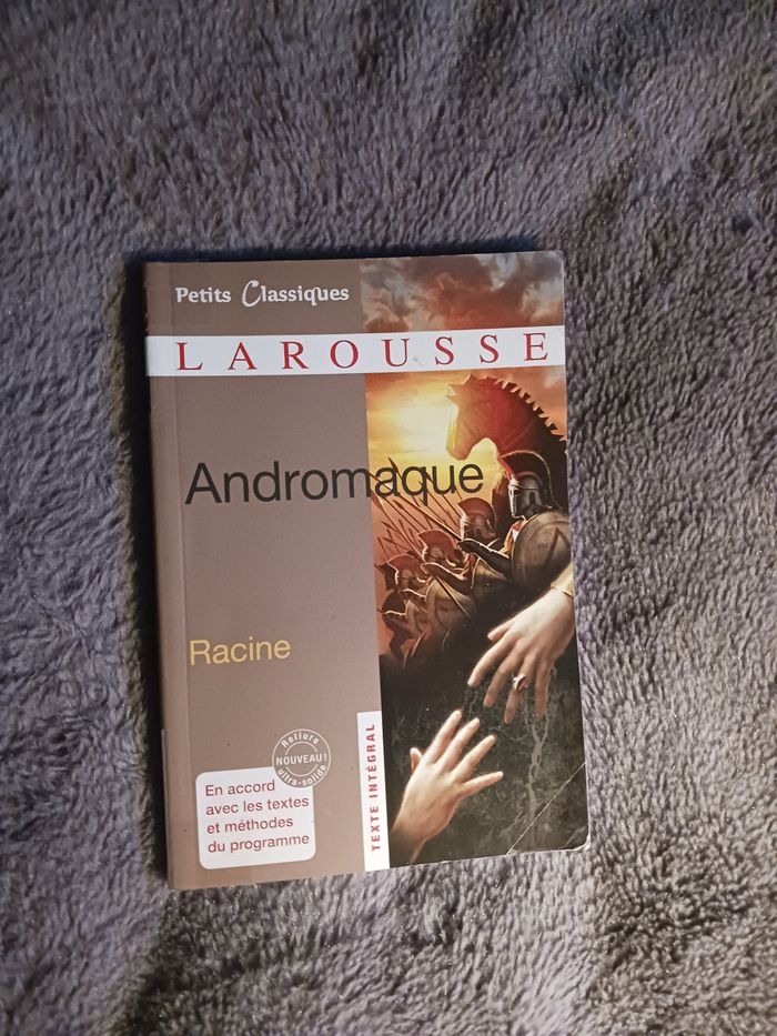 Lot livres littérature française - photo numéro 5