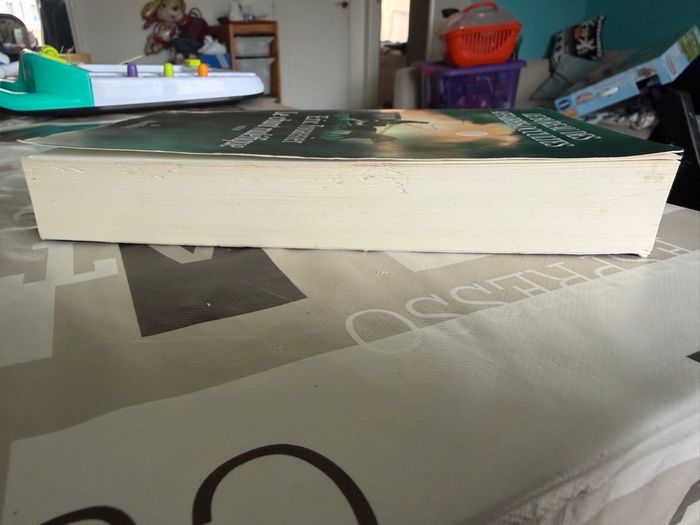 Livre d’Eric Fouassier - Le chant Maléfique - photo numéro 4