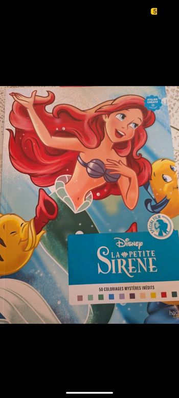 Cahier coloriage