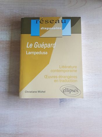 Le guépard de Lampedusa