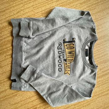 Sweat gris