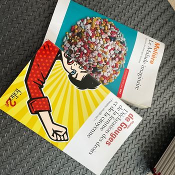 Livre pour bac de français