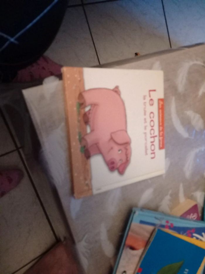 Livre le cochon la truie et le porcelet - photo numéro 2